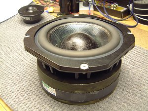 The 10Kg bass driver (27K)