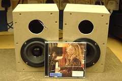 MDF boxes with CD for
       scale (13K)