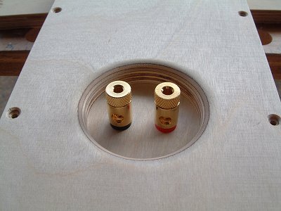 View of the rear panel connections 
     (24K)